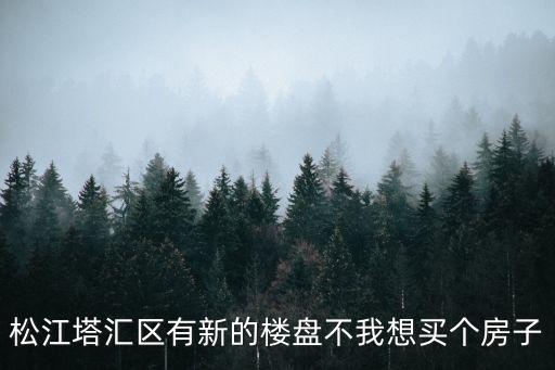 松江塔匯區(qū)有新的樓盤不我想買個房子