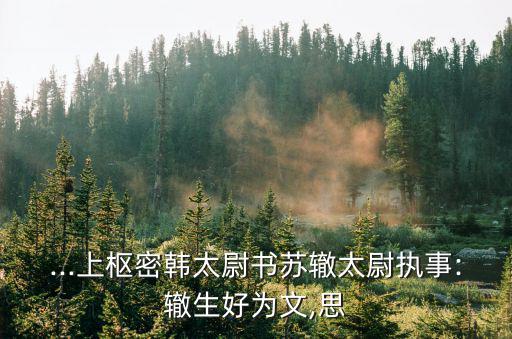 ...上樞密韓太尉書(shū)蘇轍太尉執(zhí)事:轍生好為文,思