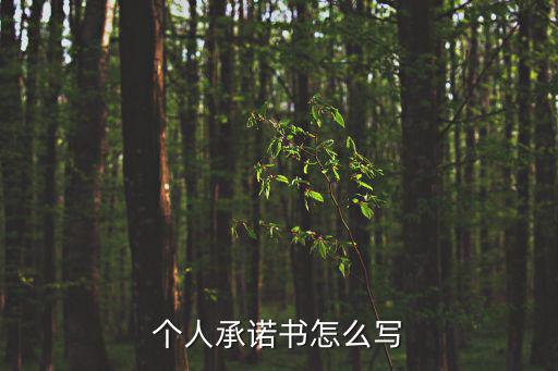 個(gè)人承諾書怎么寫