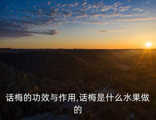 話梅的功效與作用,糖醋醪糟糟糕糕點怎么吃?