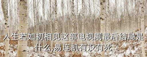 人生若如初相見這部電視劇最后結(jié)局是什么,易連凱有沒有死