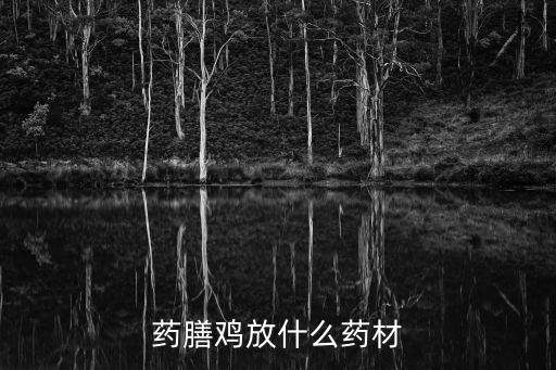 藥膳雞放什么藥材