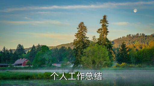 個人工作總結(jié)