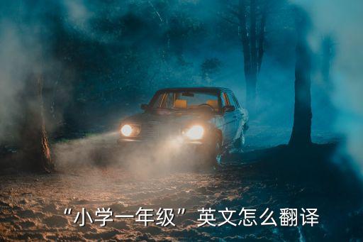 英語一年級,美國英國都不用教一年級學生學英文