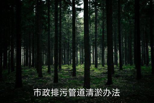 泥漿泵清淤,本詞條所闡述的泥漿泵是多數(shù)意義上的一種泵型