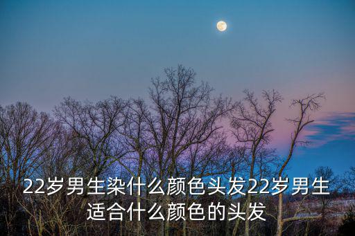 22歲男生染什么顏色頭發22歲男生適合什么顏色的頭發