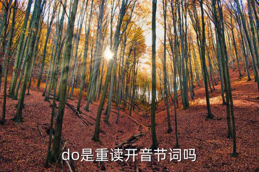 do是重讀開音節詞嗎