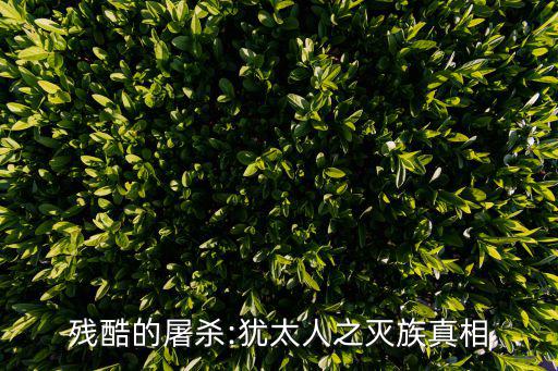 殘酷的屠殺:猶太人之滅族真相