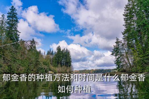 郁金香的種植方法和時間是什么郁金香如何種植