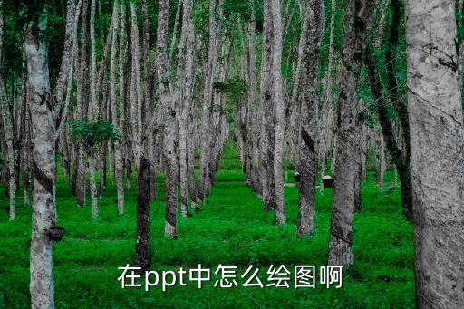 ppt怎么畫(huà)圖,怎么用ppt畫(huà)圖?步驟圖教你!