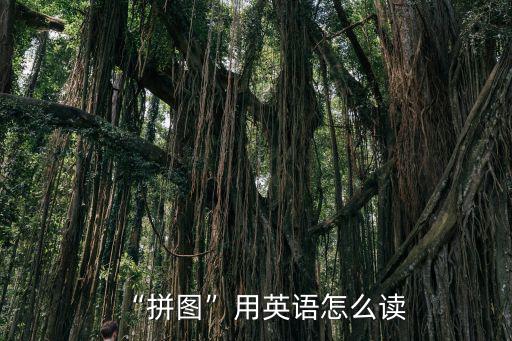 “拼圖”用英語怎么讀