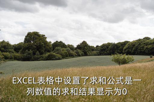 EXCEL表格中設置了求和公式是一列數值的求和結果顯示為0