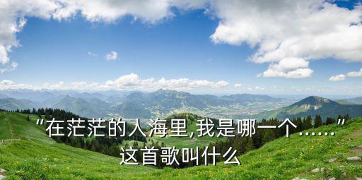 不能忘記我,不會忘記我!作文開頭怎么寫?