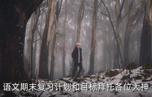 語(yǔ)文期末復(fù)習(xí)計(jì)劃和目標(biāo)拜托各位大神