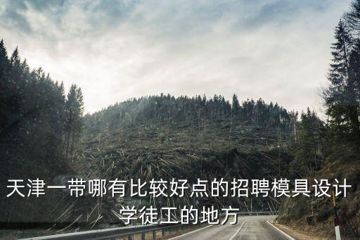 天津市雙威模具廠，天津市紅橋區哪家公司做的模具最好