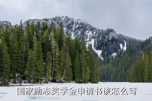 國家勵志獎學金申請書該怎么寫