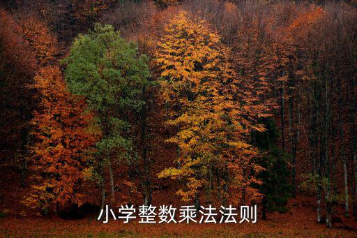 小學整數(shù)乘法法則