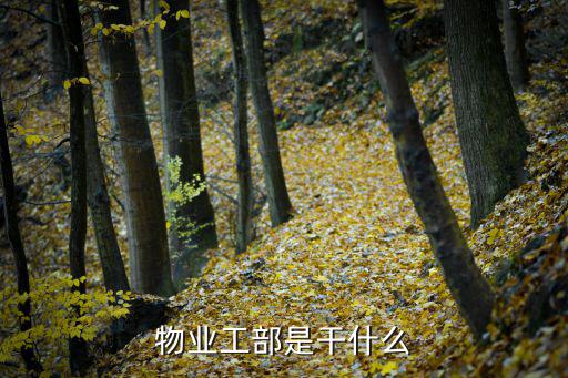 物業(yè)工程部，物業(yè)公司工程部崗位職責(zé)