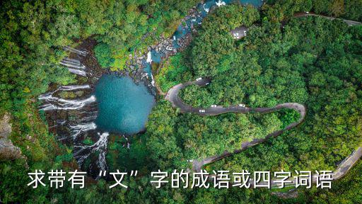 求帶有“文”字的成語或四字詞語