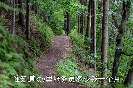 ktv服務員,ktv服務員工作職責包括什么?