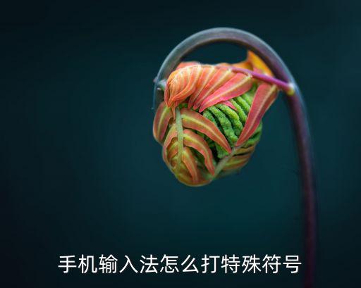 手機(jī)輸入法怎么打特殊符號(hào)