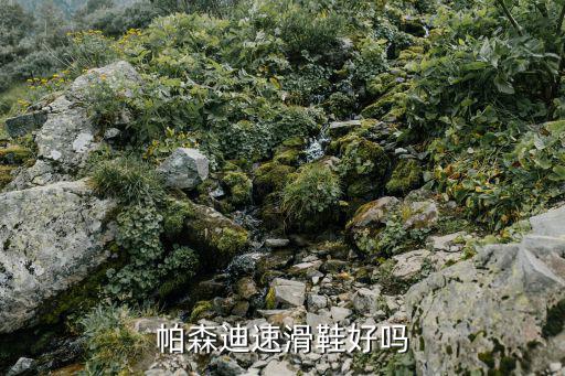 帕森迪速滑鞋好嗎