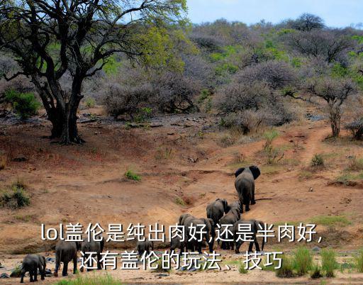 lol蓋倫是純出肉好,還是半肉好,還有蓋倫的玩法、技巧