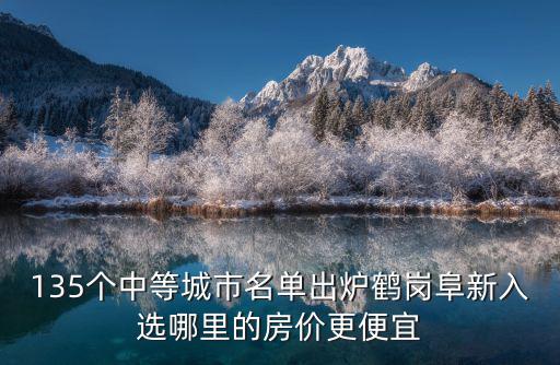 135個中等城市名單出爐鶴崗阜新入選哪里的房價更便宜