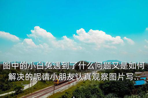 小白兔的圖片,小白兔的作文有何不同?