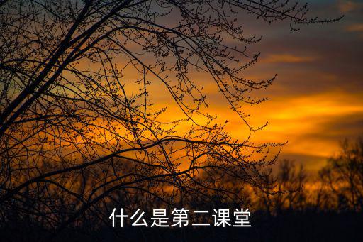 什么是第二課堂