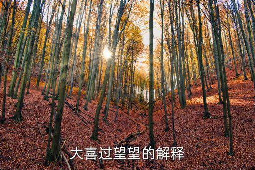 大喜過望望的解釋