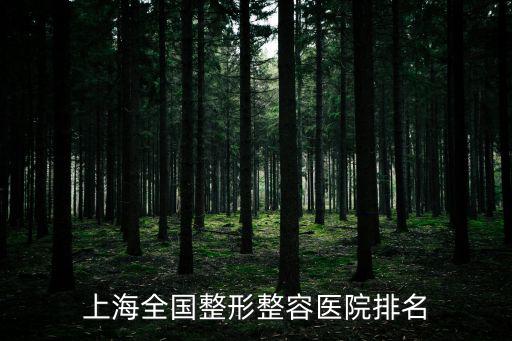 上海全國整形整容醫(yī)院排名