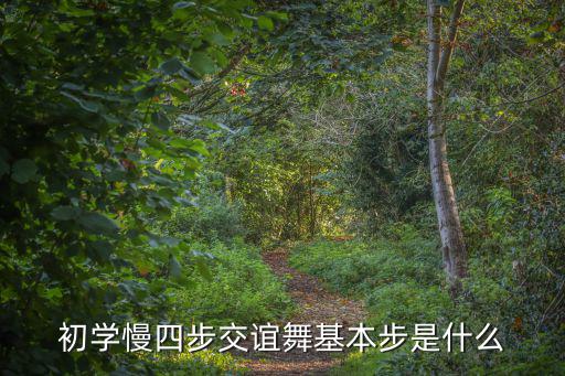 交誼舞慢四步教學(xué)視頻,中老年交誼舞現(xiàn)代探戈教學(xué)視頻供參考