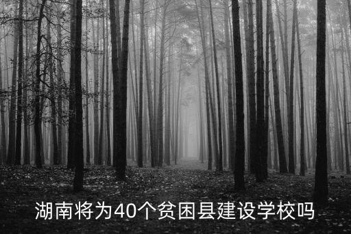 湖南將為40個貧困縣建設(shè)學(xué)校嗎