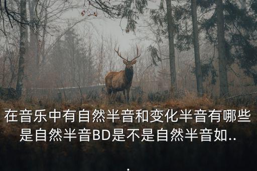 在音樂中有自然半音和變化半音有哪些是自然半音BD是不是自然半音如...
