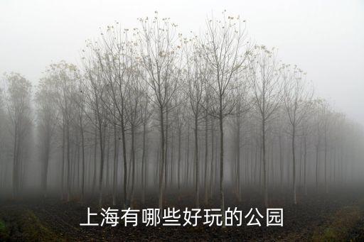 上海哪些公園好玩，上海哪個公園最好玩