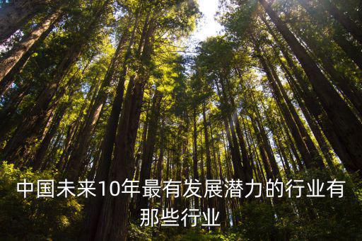 中國(guó)未來10年最有發(fā)展?jié)摿Φ男袠I(yè)有那些行業(yè)