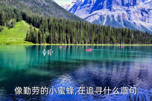 像勤勞的小蜜蜂,在追尋什么造句