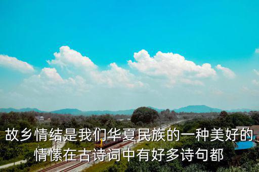 故鄉(xiāng)情懷，故鄉(xiāng)情懷酒怎么樣