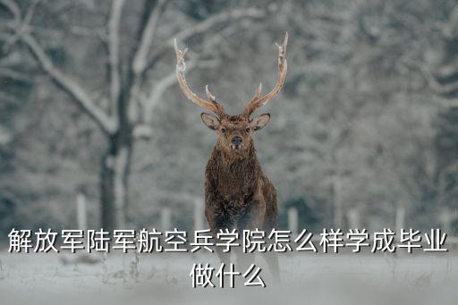 解放軍陸軍航空兵學院怎么樣學成畢業做什么