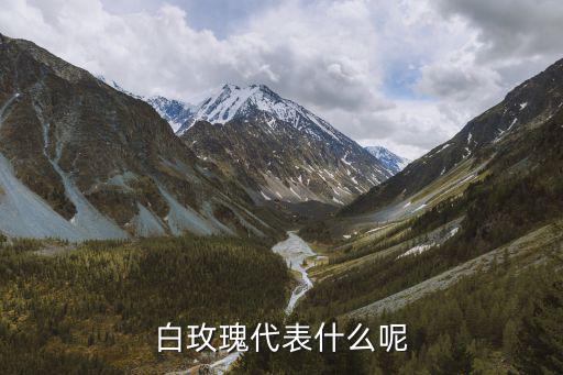 白玫瑰代表什么呢