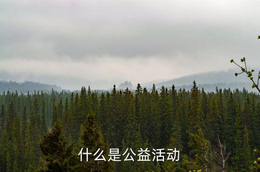 什么是公益活動