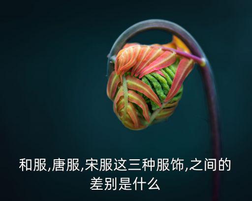唐衣,和服與古時(shí)之小袖之別