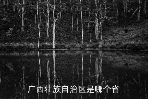 廣西壯族自治區是哪個省