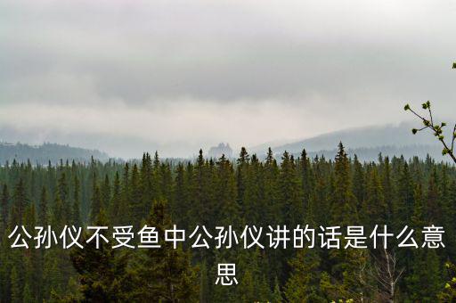 公孫儀不受魚中公孫儀講的話是什么意思