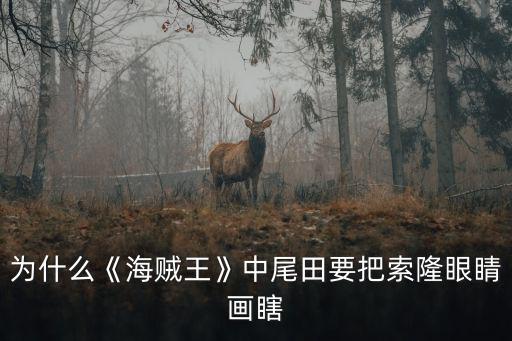 索隆怎么畫,索隆最想打敗的人就是鷹眼米霍克