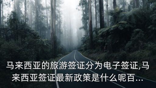 馬來西亞旅游簽證,從中國入境馬國可申請落地簽證嗎?