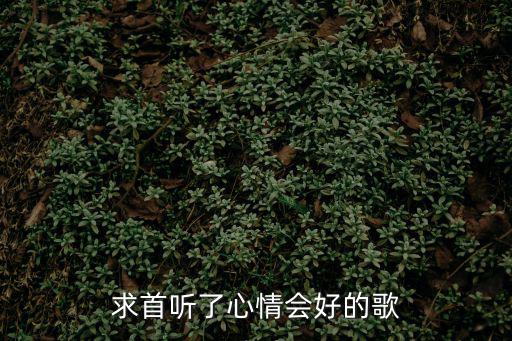 求首聽了心情會好的歌