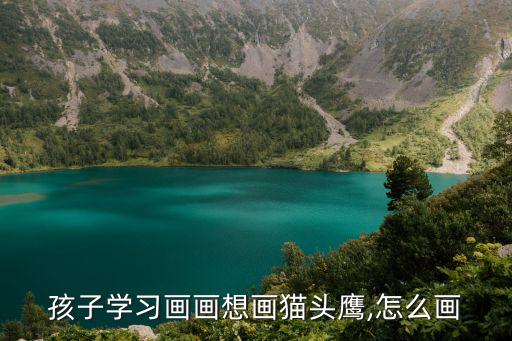 貓頭鷹怎么畫,貓頭鷹簡筆畫怎么畫教孩子學畫