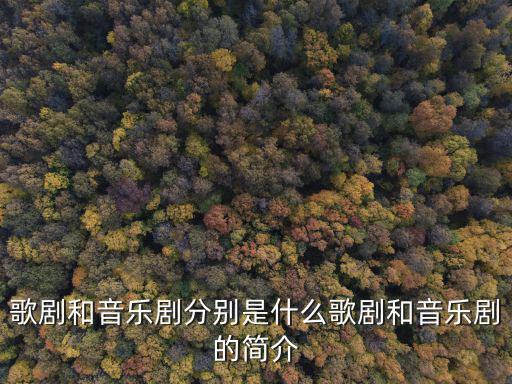 歌劇是什么,歌劇和音樂劇的定義
